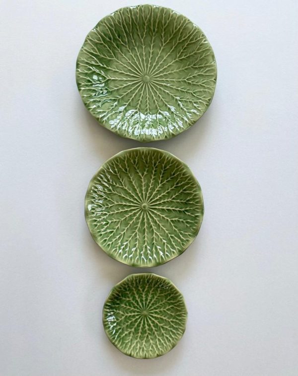 Lettuce Plates - Image 2